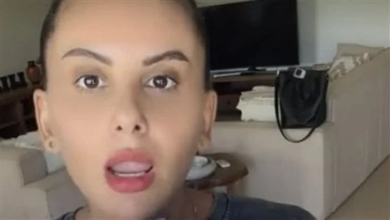 الفنانة دانا حمدان