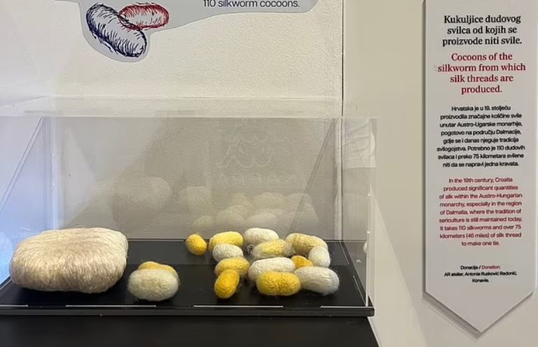 متحف Cravaticum متحف Cravaticum