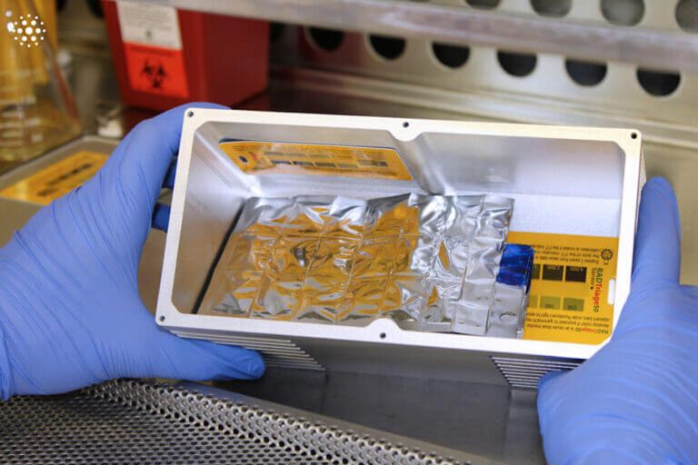 كوكب المريخ