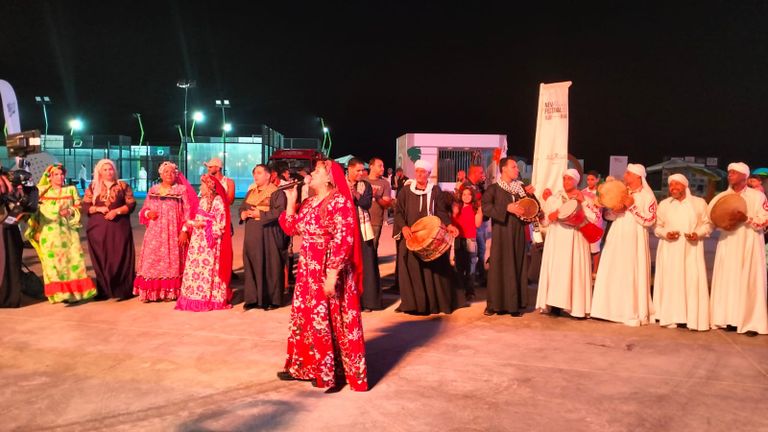 وزير الثقافة المصري أحمد فؤاد هنو 