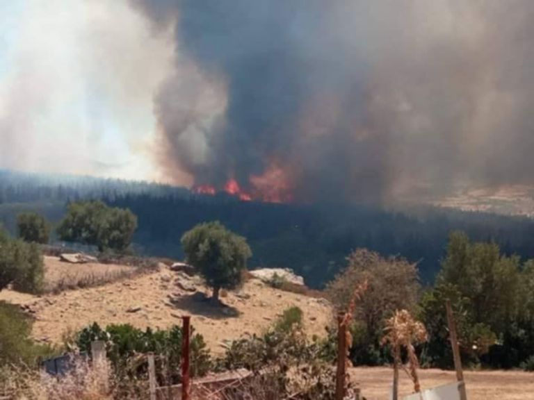 حريق محافظة باجة