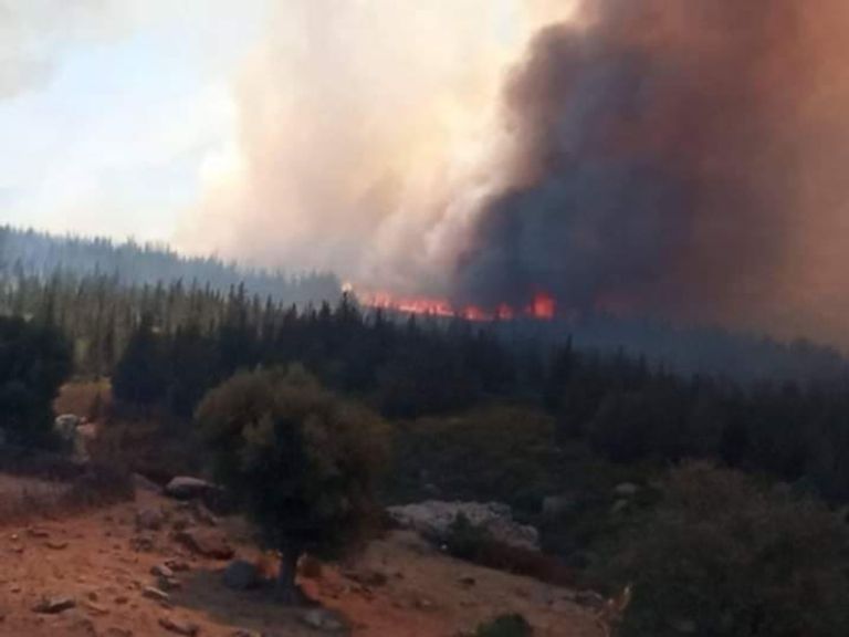 حريق محافظة باجة