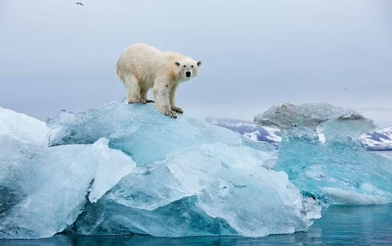 النرويج أيسلندا - أرشيفية