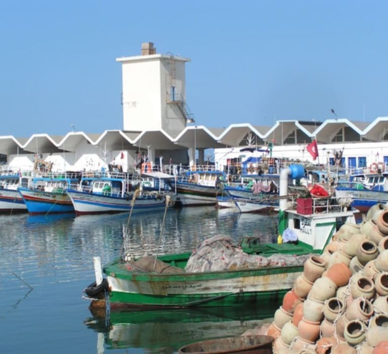 إسفنج تشتهر به جرجيس