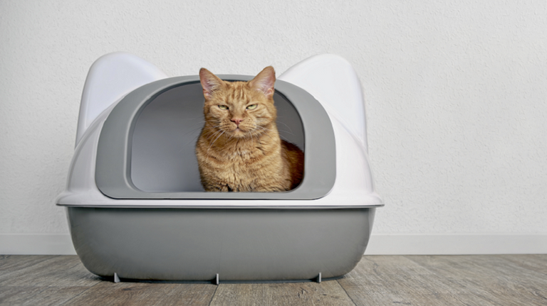 الإنسولين جزء مهم من علاج داء السكري