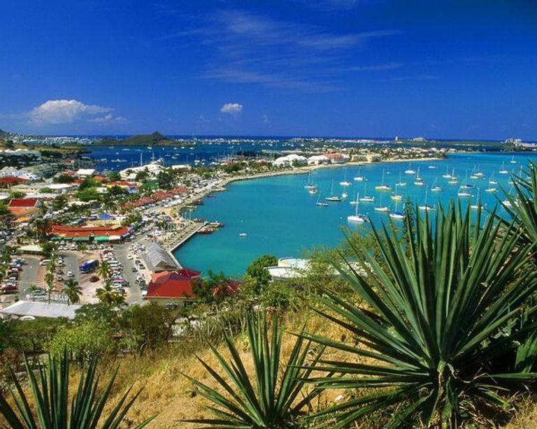 جوليان ألفريد