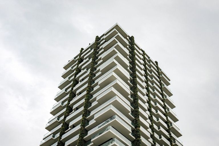 تخضير أسطح وأوجه المباني في فرانكفورت الألمانية