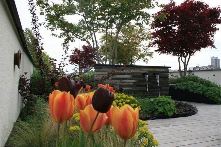 تخضير أسطح وأوجه المباني في فرانكفورت الألمانية