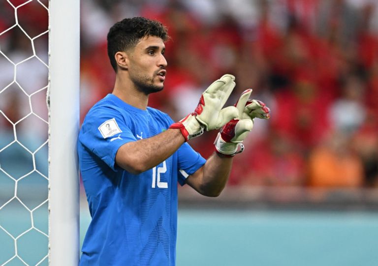 منير المحمدي الكجوي