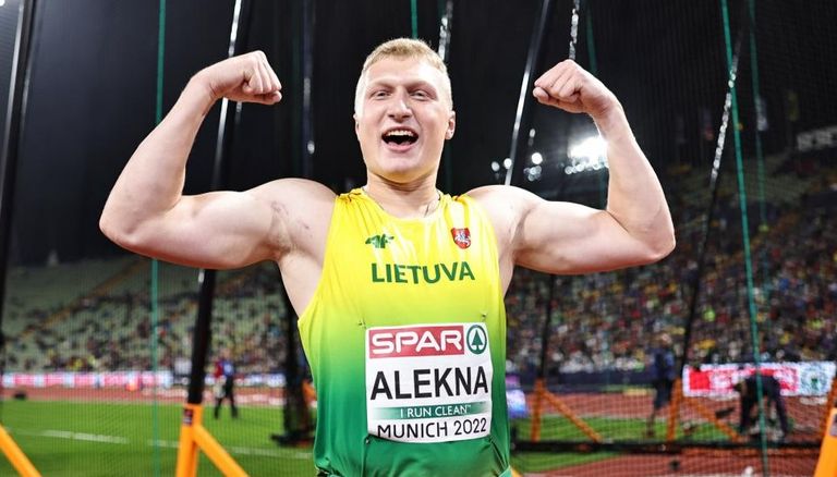 ميكولاس أليكنا