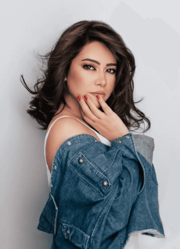 شيرين عبدالوهاب وحسام حبيب