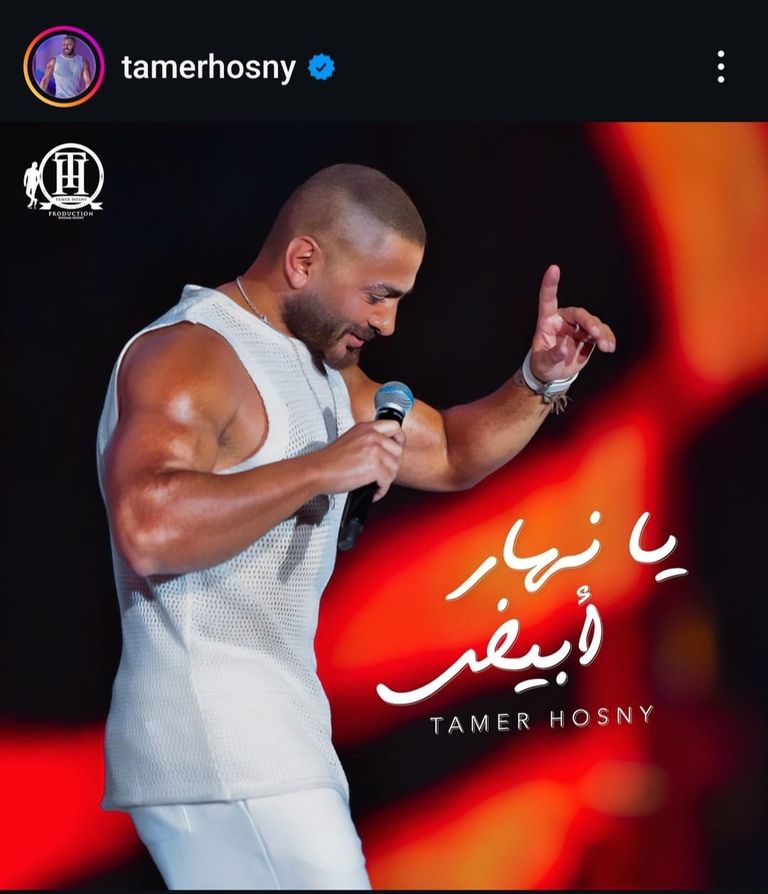 الفنان تامر حسني