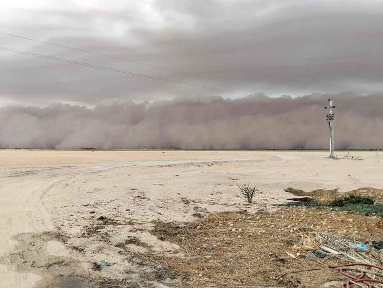 عاصفة الوادي الجديد