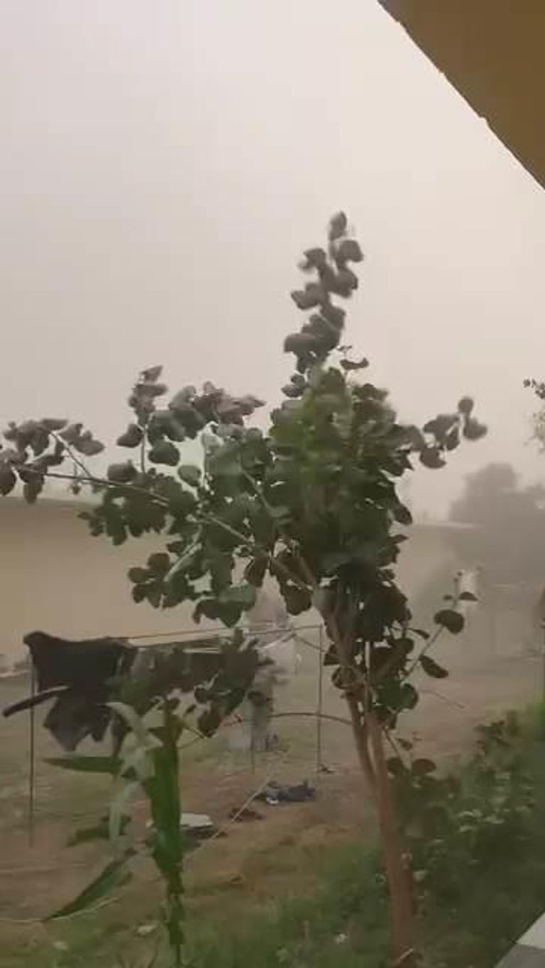 عاصفة الوادي الجديد