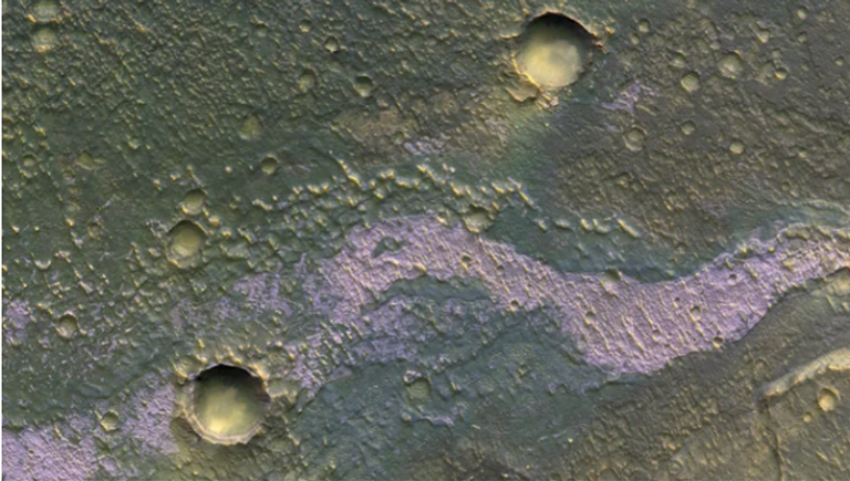 الموجة الأرجوانية قد تبدو وكأنها حورية البحر