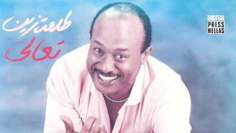 الفنان المصري الراحل طلعت زين
