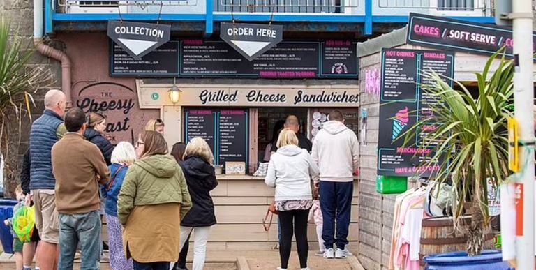 النورس سارق الشطائر