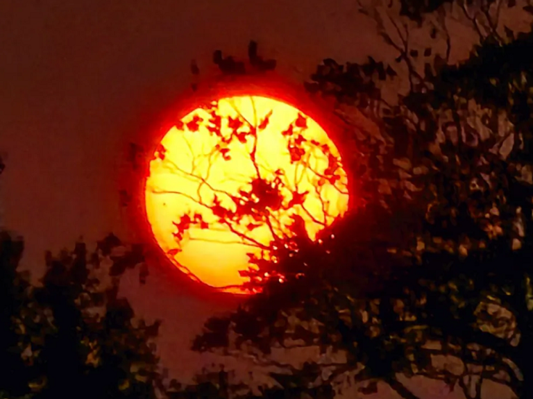  سماء بريطانيا تحولت إلى الأحمر