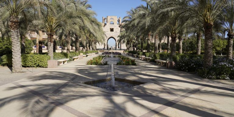 الجامعة الأمريكية بالقاهرة - أرشيفية