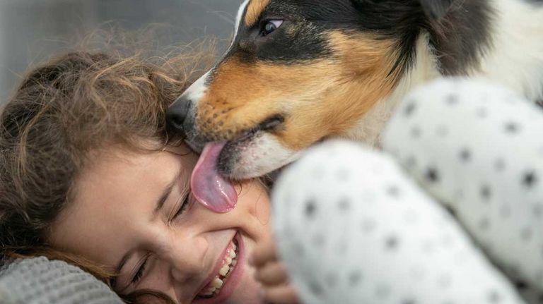 مجموعة من القرود