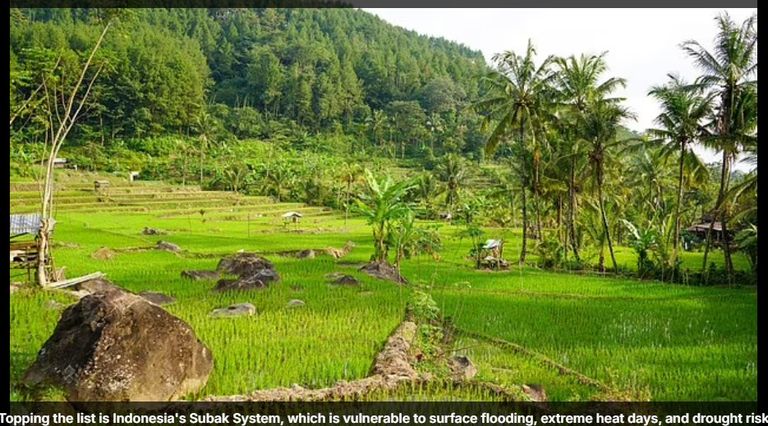 جسر فورث في اسكتلندا