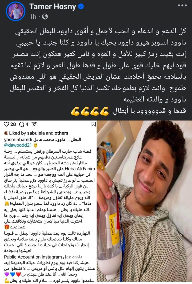 الفنان تامر حسني