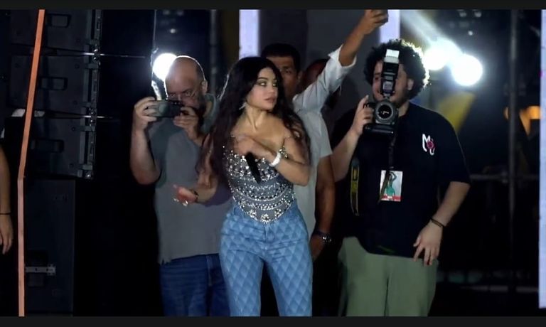 الفنانة هيفاء وهبي