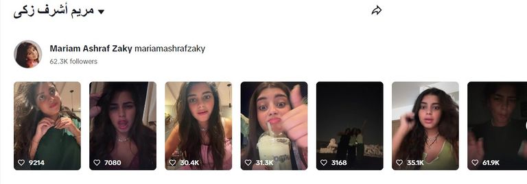 الفنان أشرف زكي