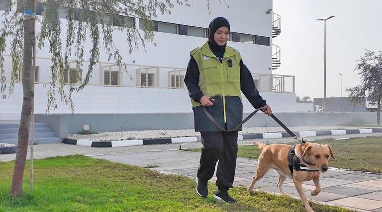 أوائل الإماراتيات.. تفوق وريادة للنهوض بالوطن