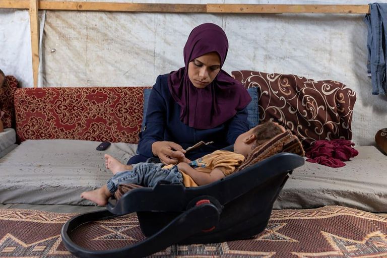 علم دولة الإمارات