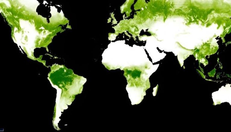 صورة مأخوذة من بيانات الأقمار الصناعية لمناطق من الأرض مغطاة بالغابات