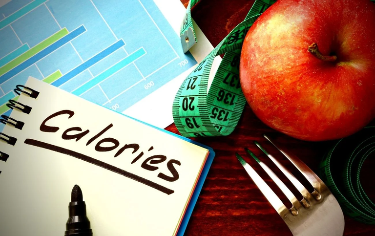 نصائح لإنجاح رجيم 1000 سعرة حرارية بدون الشعور بالجوع رجيم السعرات الحرارية 1000