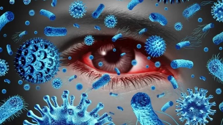 الخفافيش تحمل فيروس ينتقل للبشر