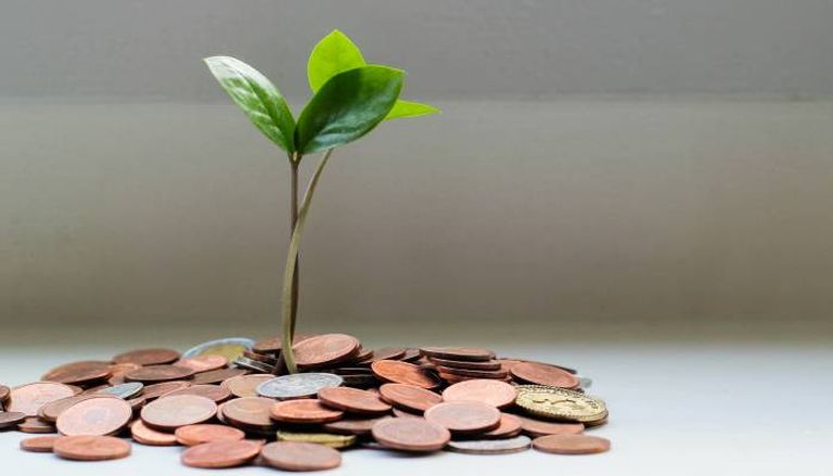 كيف تمول مشروعك تمويل المشروعات الصغيرة