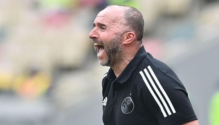 جمال بلماضي فلاديمير بيتكوفيتش مدرب منتخب الجزائر