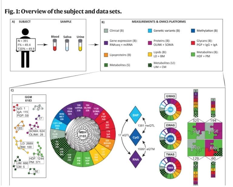 الخريطة المبتكرة تساعد على فهم العمليات الجزيئية المعقدة في جسم الإنسان