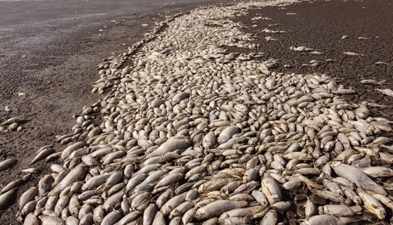 جفاف بحيرات اليونان