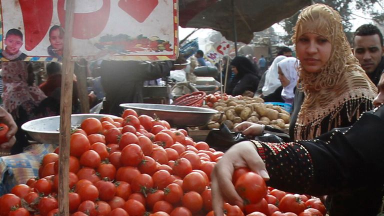 ارتفاع أسعار الطماطم في مصر