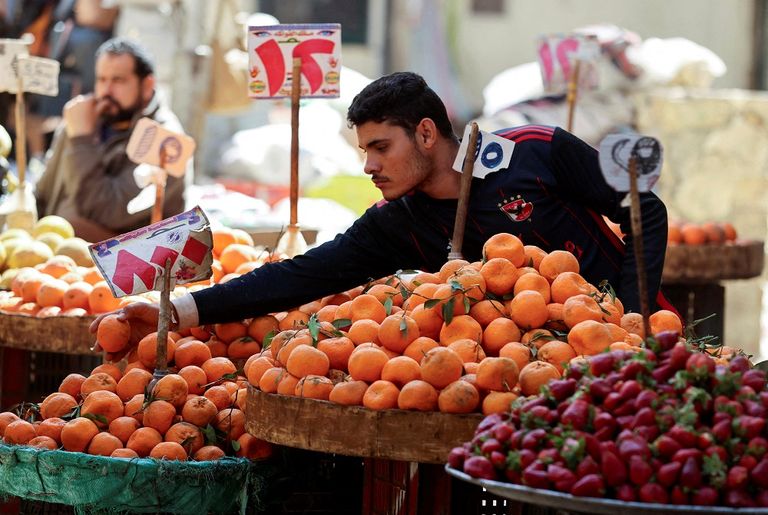 ارتفاع أسعار الطماطم في مصر