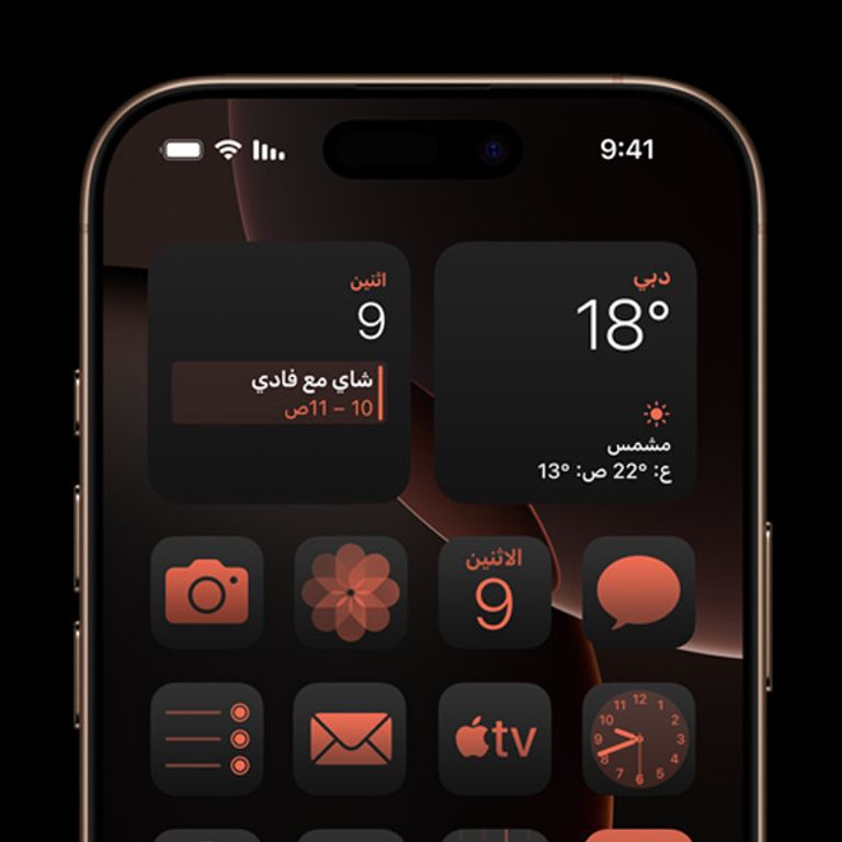 هاتف iPhone 16 Pro Max