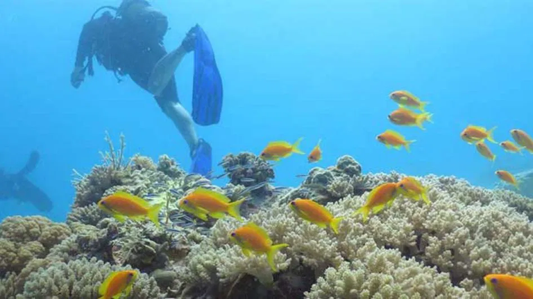 شاطئ جميرا دبي أحد مواقع الغوص في الإمارات