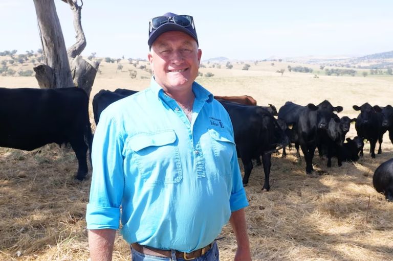 أجهزة رصد أنفاس البقر