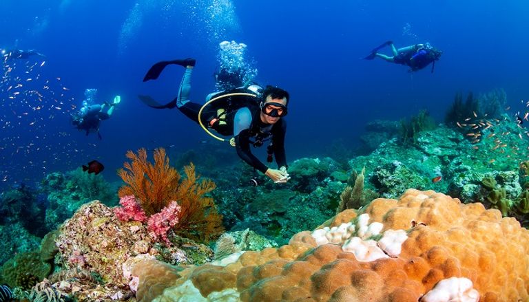 منطقة رأس بناس