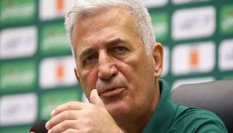 فلاديمير بيتكوفيتش