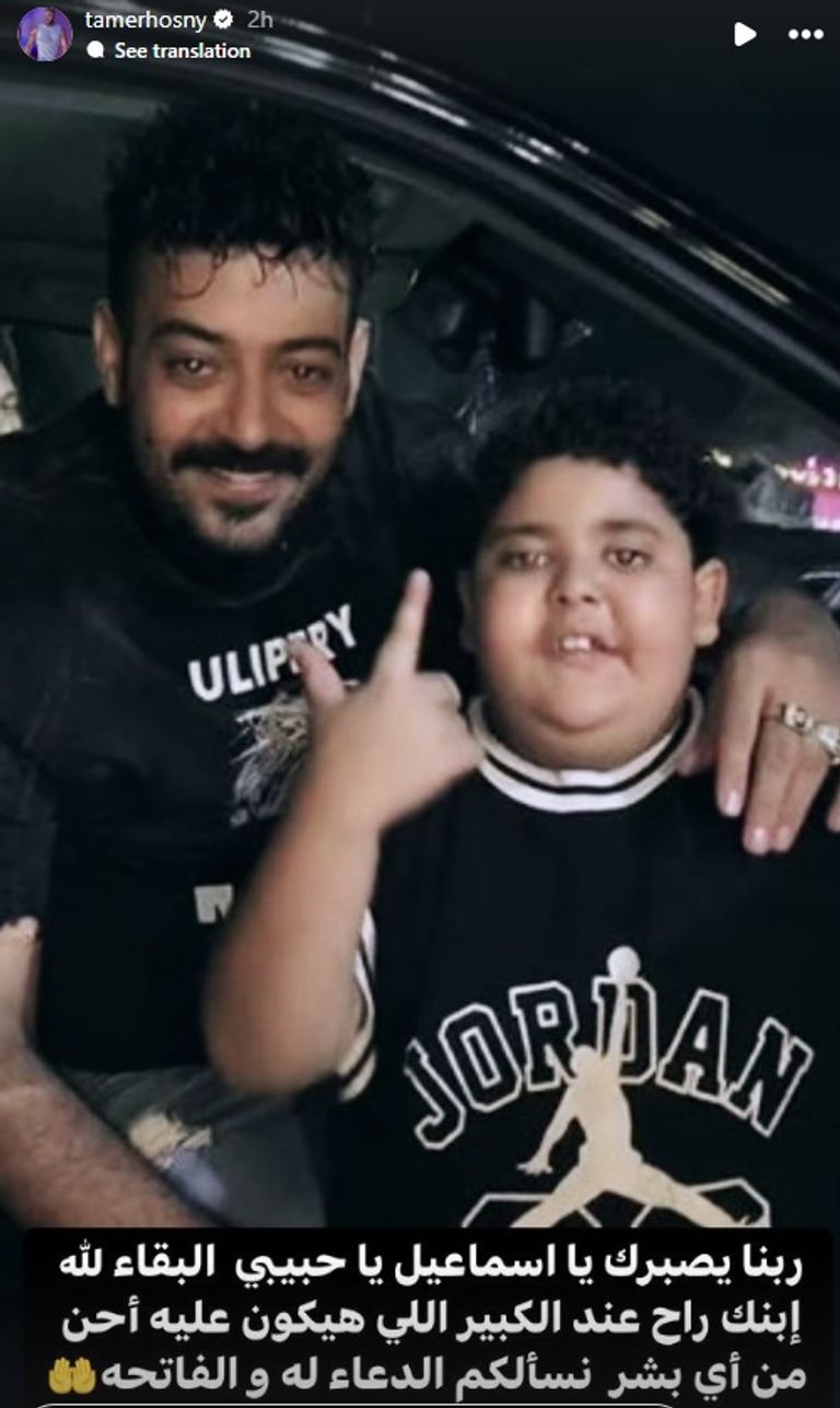 الفنان تامر حسني
