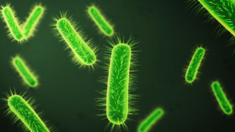 المياه الملوثة أحد مصادر الإصابة بالبكتيريا