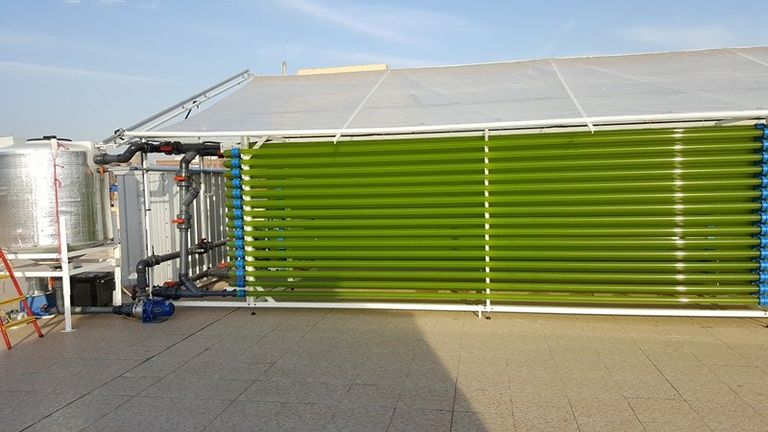 المفاعل الضوئي الحيوي لإنتاج الطحالب المفاعل الحيوي لإنتاج الطحالب المستخرج منها المواد الدوائية