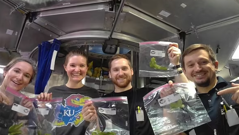 مختبر محاكاة المريخ في وكالة ناسا