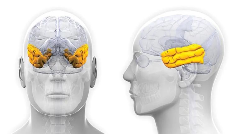 تجربة لاكتشاف الوعي