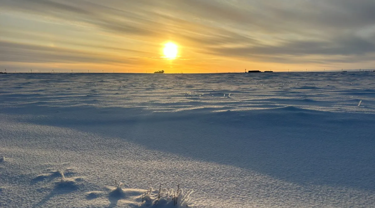 حرائق الغابات أحد آثار صيف الجحيم في 2024